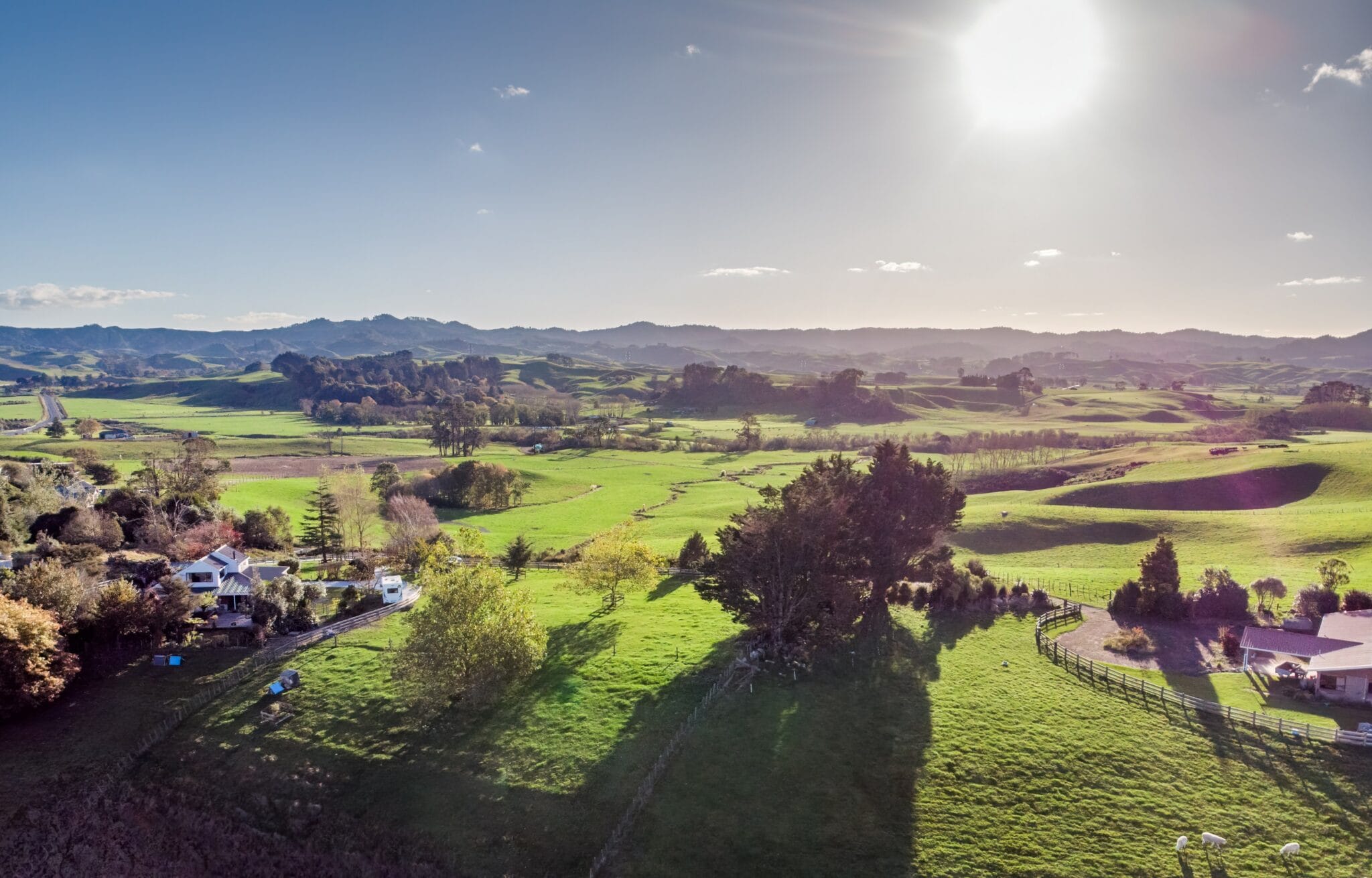 60 Lockerbie Lane Design & Build Davies Homes