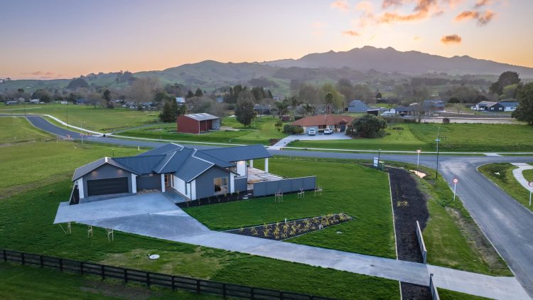 builders waikato