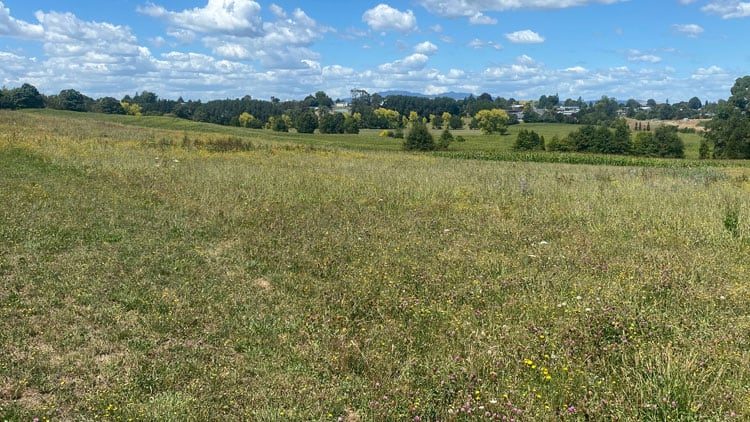 davies-homes-hause-and-land-packages-in-waikato-in-te-awamutu-in-cambridge-new-zealand-16 davies-homes-hause-and-land-packages-in-waikato-in-te-awamutu-in-cambridge-new-zealand-16