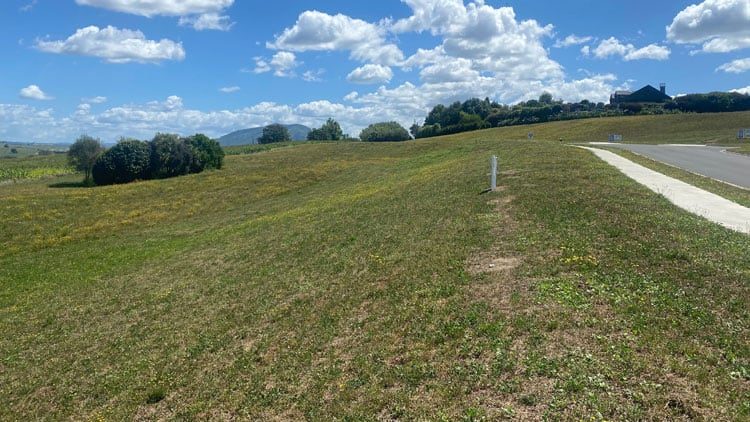davies-homes-hause-and-land-packages-in-waikato-in-te-awamutu-in-cambridge-new-zealand-17 davies-homes-hause-and-land-packages-in-waikato-in-te-awamutu-in-cambridge-new-zealand-17