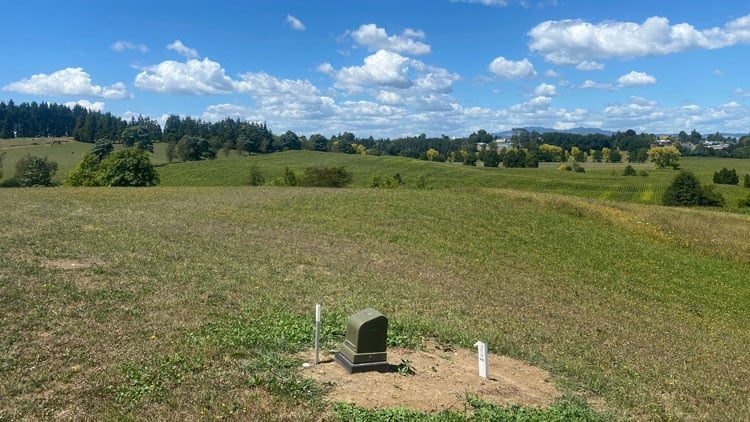davies-homes-hause-and-land-packages-in-waikato-in-te-awamutu-in-cambridge-new-zealand-18 davies-homes-hause-and-land-packages-in-waikato-in-te-awamutu-in-cambridge-new-zealand-18