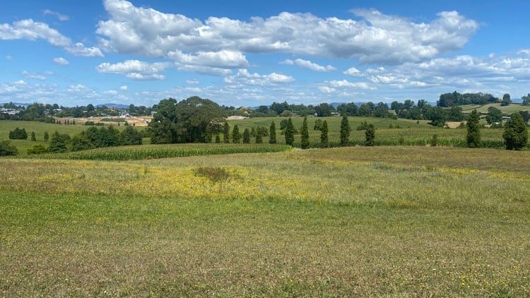 davies-homes-hause-and-land-packages-in-waikato-in-te-awamutu-in-cambridge-new-zealand-19 davies-homes-hause-and-land-packages-in-waikato-in-te-awamutu-in-cambridge-new-zealand-19