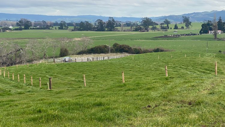 davies-homes-house-and-land-packages-ngahinapouri-lot-3featuredimage davies-homes-house-and-land-packages-ngahinapouri-lot-3featuredimage
