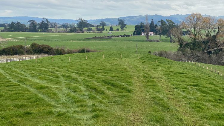davies-homes-house-and-land-packages-ngahinapouri-lot-4featuredimage davies-homes-house-and-land-packages-ngahinapouri-lot-4featuredimage