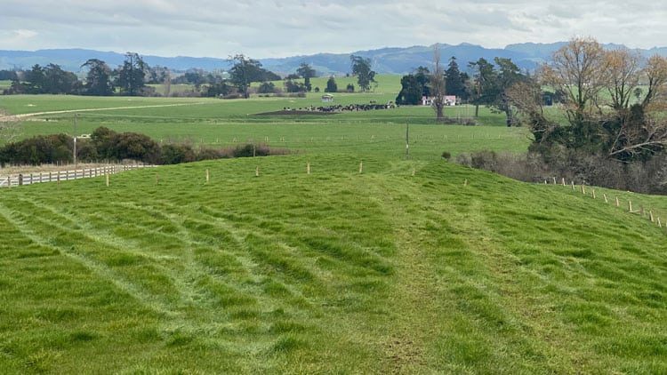 davies-homes-house-and-land-packages-ngahinapouri-lot-4featuredimage davies-homes-house-and-land-packages-ngahinapouri-lot-4featuredimage