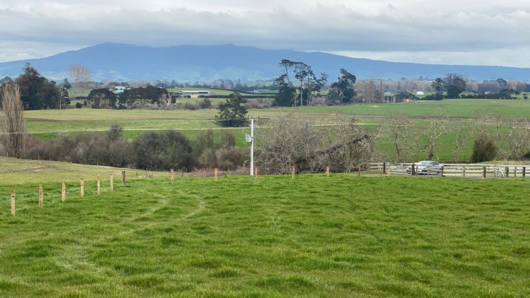 davies-homes-house-and-land-packages-ngahinapouri-lot-5featuredimage davies-homes-house-and-land-packages-ngahinapouri-lot-5featuredimage